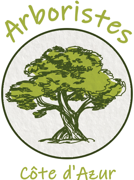 Arboristes Côte d'Azur