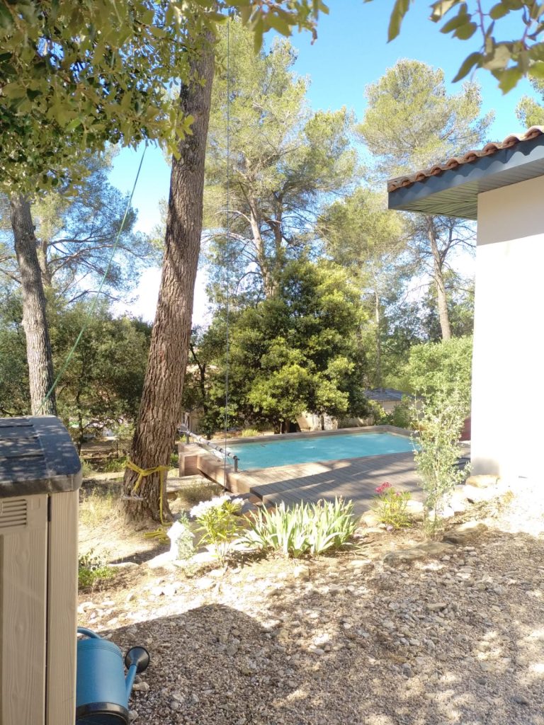 Une piscine, une maison et une terrasse en bois sont au pied de l'arbre